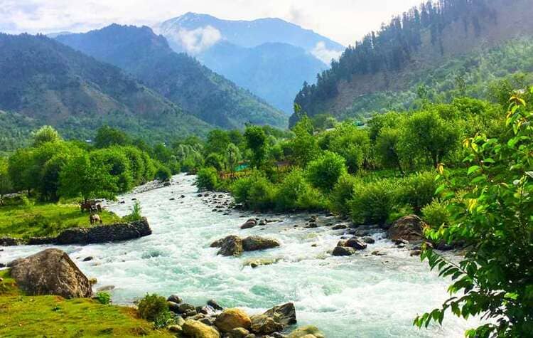 aru-valley-pahalgam little silver Pahalagm